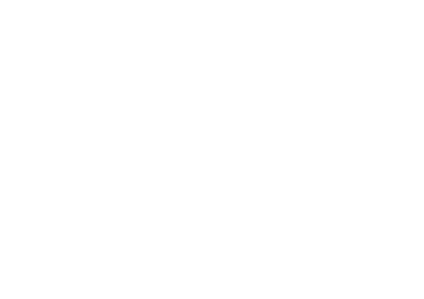 DISOPA